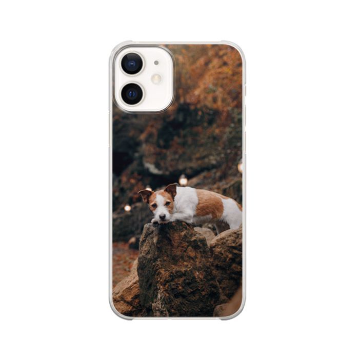 Custom iPhone 12 Case